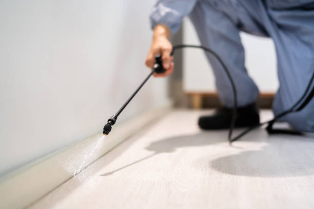 Certified termite inspector examining foundation in Delmar